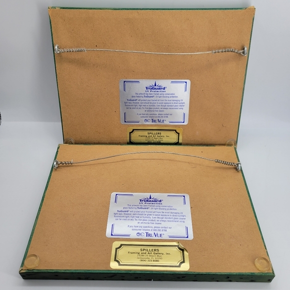 2 Frames by Spillers Framing and Art Gallery Green wood Lizard/Asian Bird Flower - Picture 2 of 10